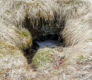 Hólmur