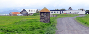 Jörfi