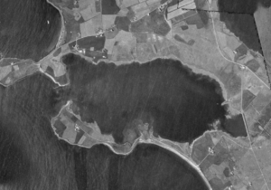Skógtjörn