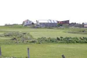 Sviðholt