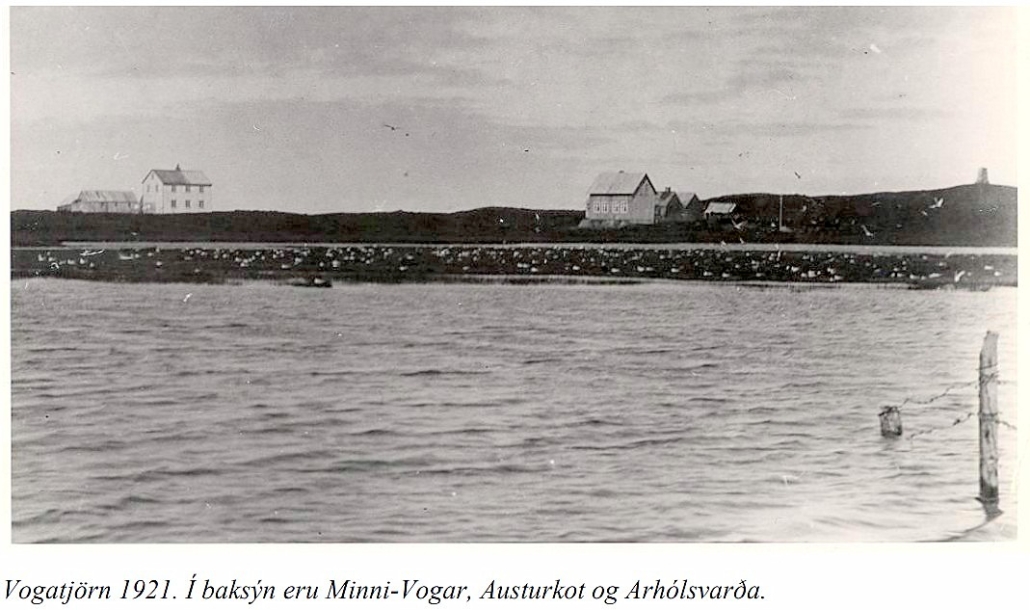 Vogar