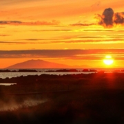 Sólstöður
