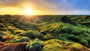 Sumarsólstöður