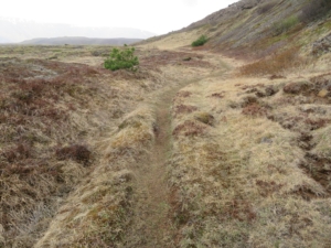 Dalaleið