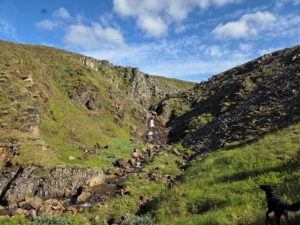 Nóngilsfoss