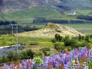 Víghóll