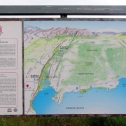 Svartagil-Múlakot-stekkur-júlí 2026 (50) Þingvellir