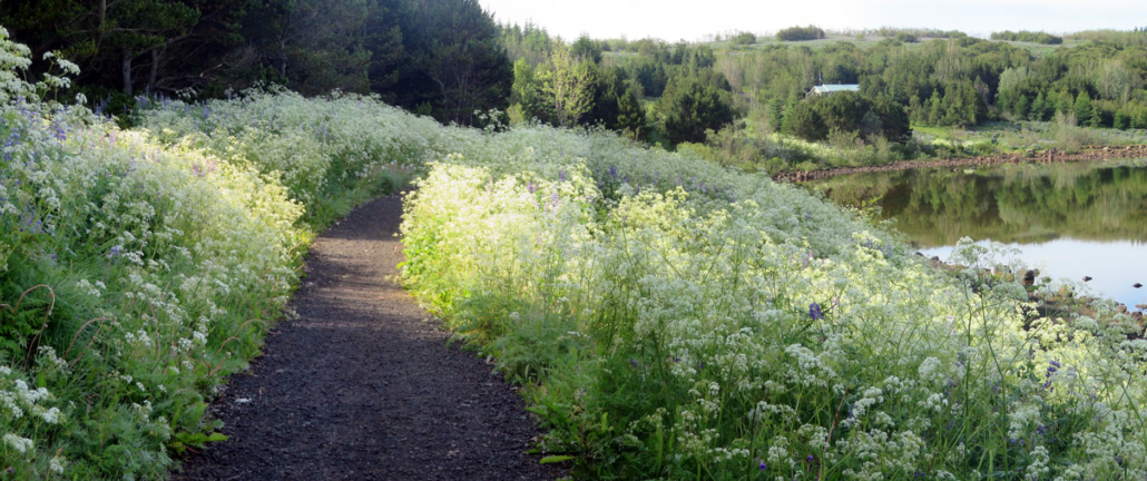 Hvaleyrarvatn
