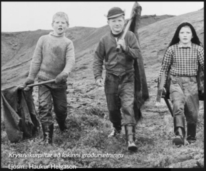 Stóri-Skógarhvammur