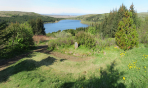 Værðarlundur
